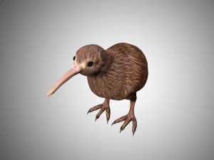 realistic kiwi rigged low poly 3D Model