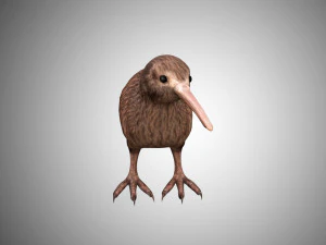 realistic kiwi rigged low poly 3D Model