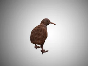 realistic kiwi rigged low poly 3D Model