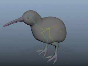 realistic kiwi rigged low poly 3D Model