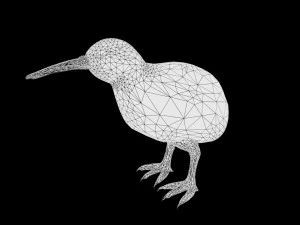 realistic kiwi rigged low poly 3D Model