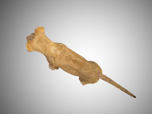 realistic lion cub low poly rigged Modello 3D