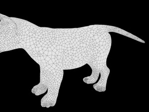 realistic lion cub low poly rigged Modello 3D