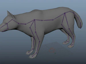 realistic husky dog low poly rigged 3D Model