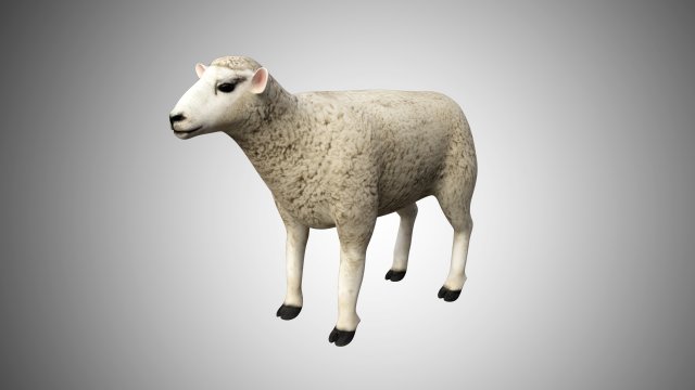 realistic high detailed rigged low poly sheep Modèle 3D .c4d .max .obj .3ds .fbx .stl .blend 