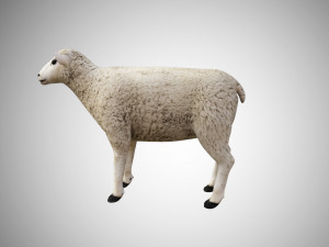 realistic high detailed rigged low poly sheep Modèle 3D
