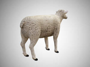 realistic high detailed rigged low poly sheep Modèle 3D