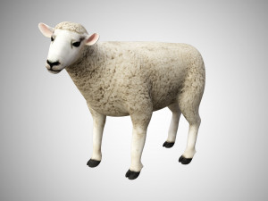 realistic high detailed rigged low poly sheep Modèle 3D