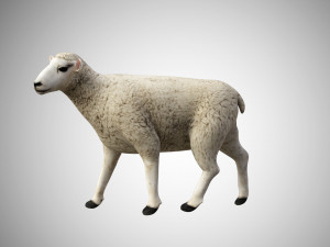 realistic high detailed rigged low poly sheep Modèle 3D