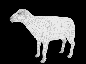 realistic high detailed rigged low poly sheep 3D Model