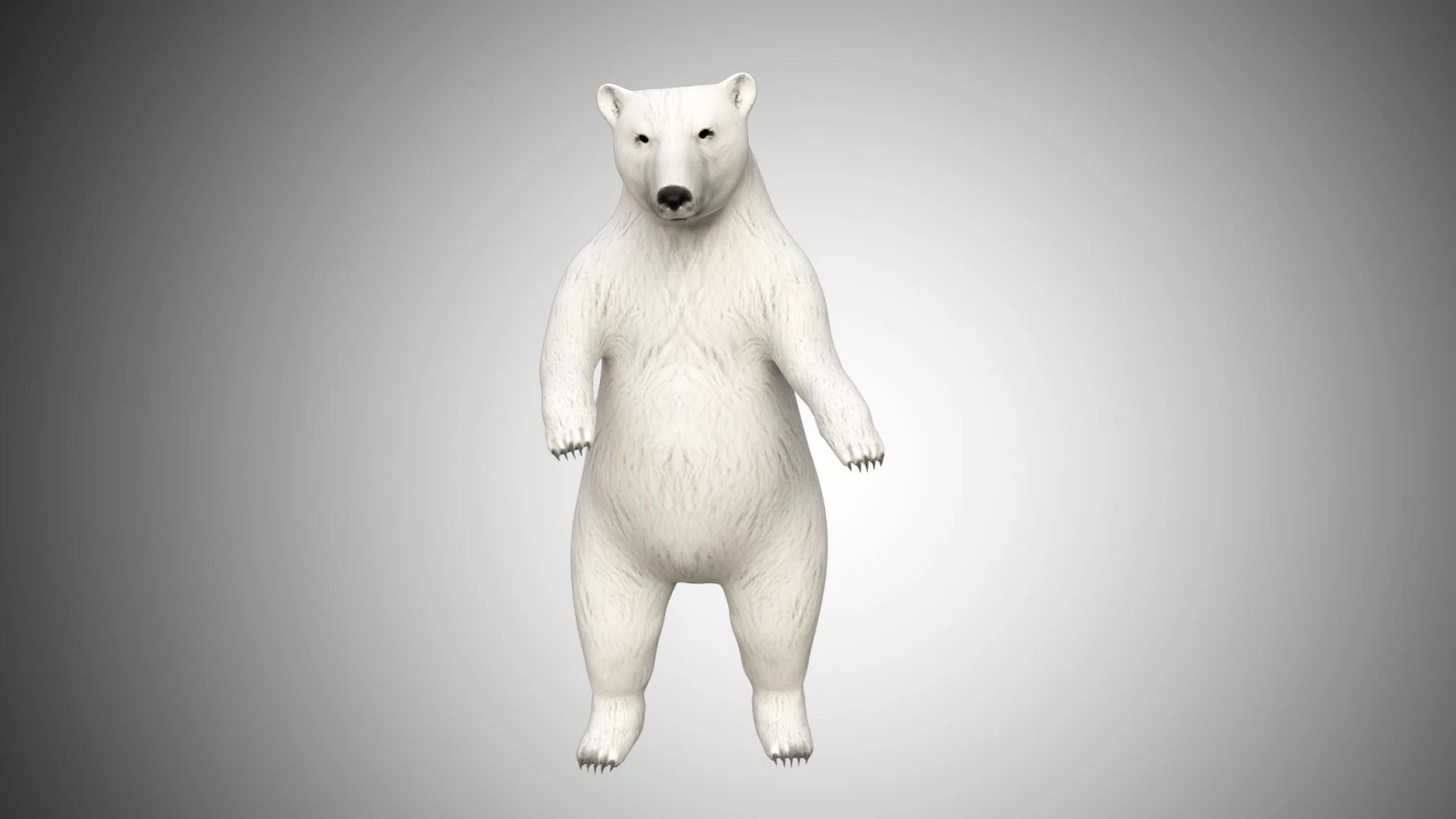 realistic high detailed rigged low poly white polar bear 3D Model .c4d .max .obj .3ds .fbx .stl .blend 