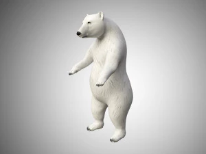 realistic high detailed rigged low poly white polar bear 3D Model