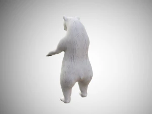 realistic high detailed rigged low poly white polar bear 3D Model