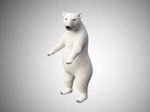 realistic high detailed rigged low poly white polar bear 3D 模型