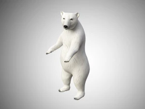 realistic high detailed rigged low poly white polar bear 3D Model