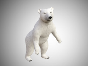 realistic high detailed rigged low poly white polar bear 3D 模型
