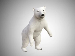 realistic high detailed rigged low poly white polar bear 3D Model
