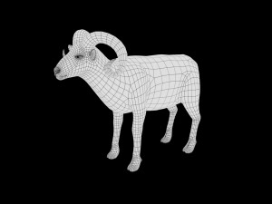 marco polo big horned sheep rigged low poly 3D 모델