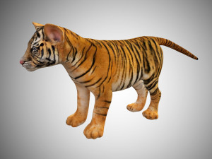tiger cub rigged low poly 3D Модель