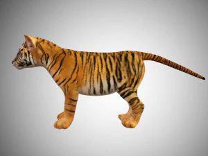 tiger cub rigged low poly 3D Model