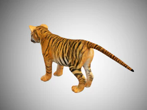tiger cub rigged low poly 3D Model