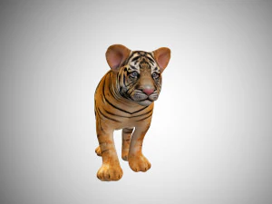 tiger cub rigged low poly 3D Model