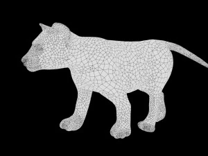 tiger cub rigged low poly 3D Model