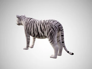 realistic high detailed rigged low poly sumatran white tiger 3d 3D Model