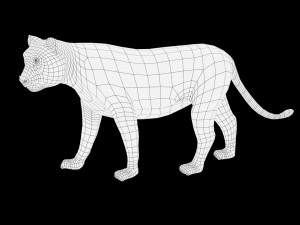 realistic high detailed rigged low poly sumatran white tiger 3d 3D Модель
