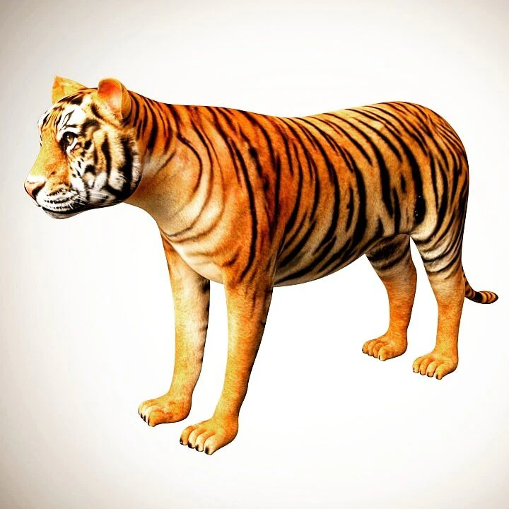 3d realistic low poly rigged high detailed bengal tiger model 3D Model .c4d .max .obj .3ds .fbx .stl .blend