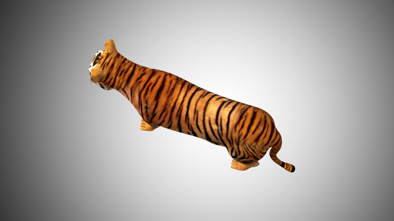 Tiger Collection 3D Model Rigged and Low poly Game ready