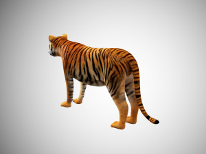 3d realistic low poly rigged high detailed bengal tiger model 3D Model