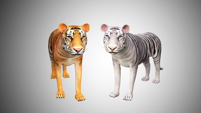 3d realistic high detailed rigged low poly bengal and sumatran white and orange tiger 3D मॉडल .c4d .max .obj .3ds .fbx .stl .blend 