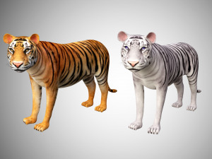 3d realistic high detailed rigged low poly bengal and sumatran white and orange tiger 3D मॉडल