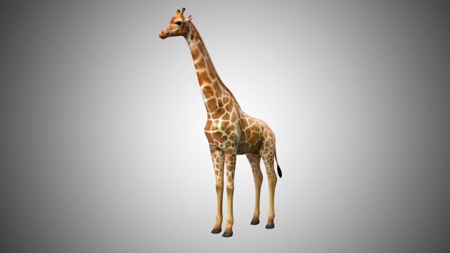 giraffe rigged low poly 3D Model .c4d .max .obj .3ds .fbx .stl .blend 