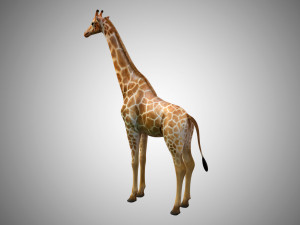 giraffe rigged low poly 3D Model
