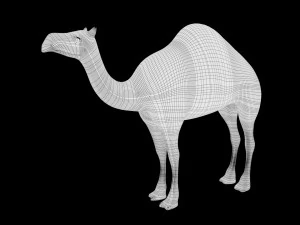 realistic rigged high detailed low poly camel 3D Model