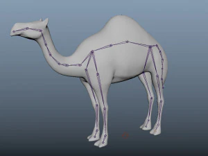 realistic rigged high detailed low poly camel 3D Model