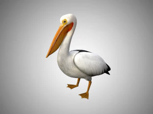realistisch opgetuigde hooggedetailleerde laag poly pelikaan 3D Model