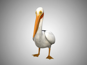 realistic rigged high detailed low poly pelican Modelo 3D