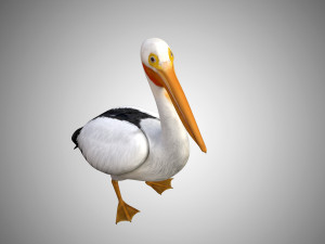 realistic rigged high detailed low poly pelican Modelo 3D