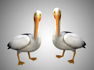 realistic rigged high detailed low poly pelican 3D Model