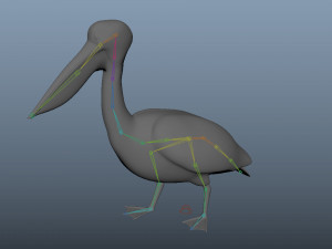 realistic rigged high detailed low poly pelican Modelo 3D
