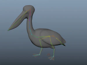 realistic rigged high detailed low poly pelican 3D Model