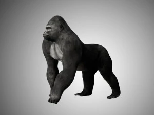 realistic rigged high detailed low poly gorilla 3D Model