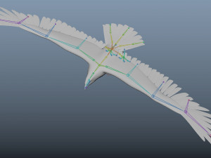 3d realistic rigged low poly high detailed low poly hawk 3D Model