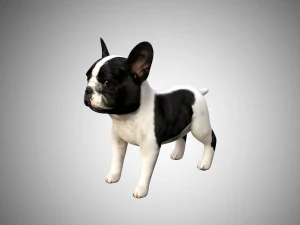 3Dリアルなリグ付き低ポリ高詳細な低ポリフレンチブルドッグの子犬 3Dモデル