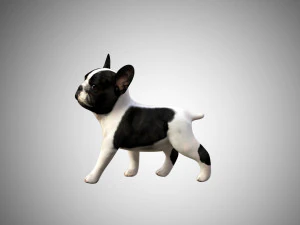 3d realistic rigged low poly high detailed low poly french bulldog puppy 3D Model