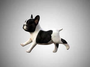 3d realistic rigged low poly high detailed low poly french bulldog puppy 3D Model