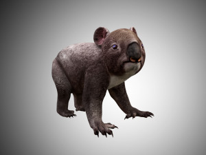 koala 3D Model